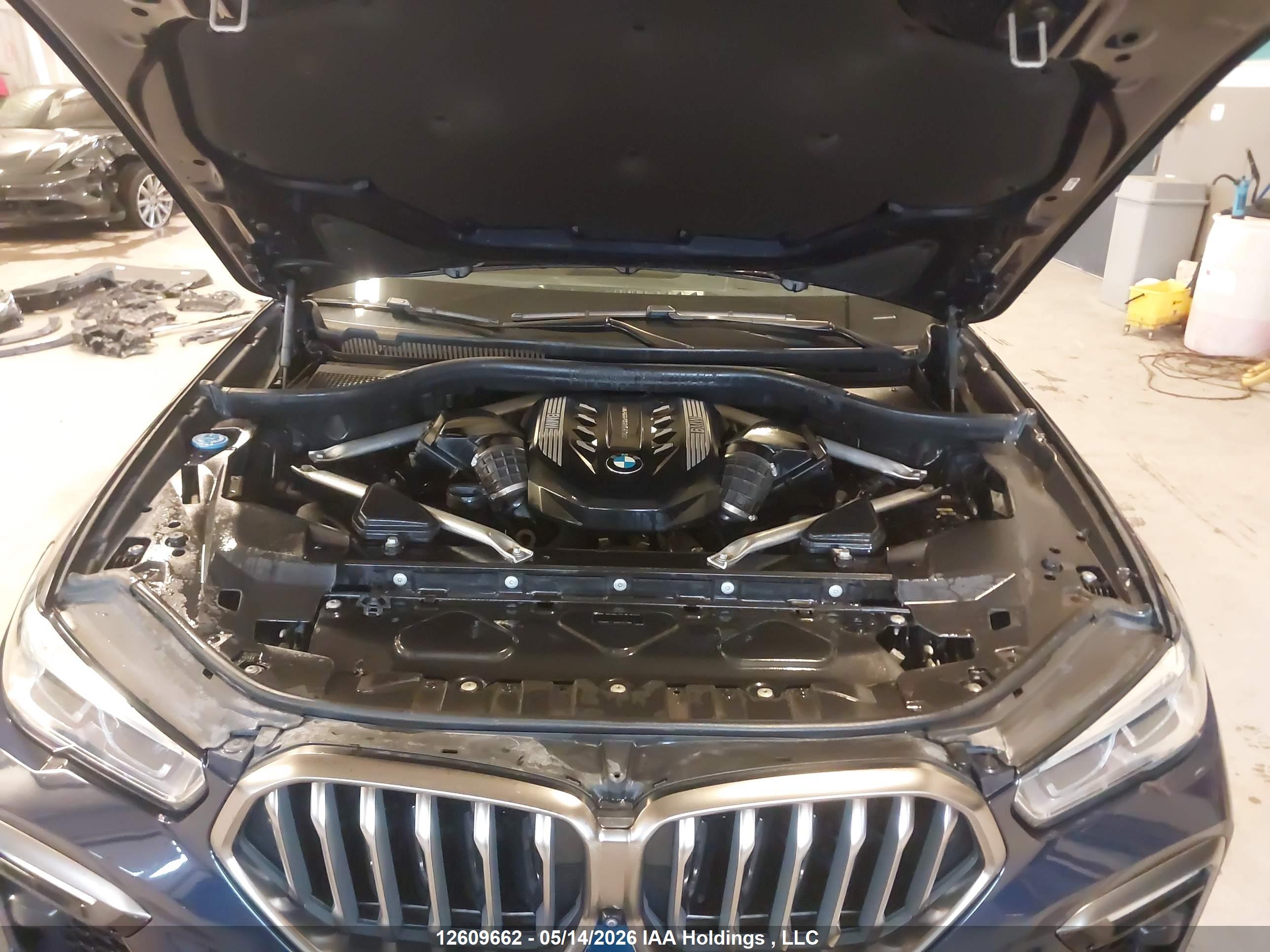 BMW X6 image 10