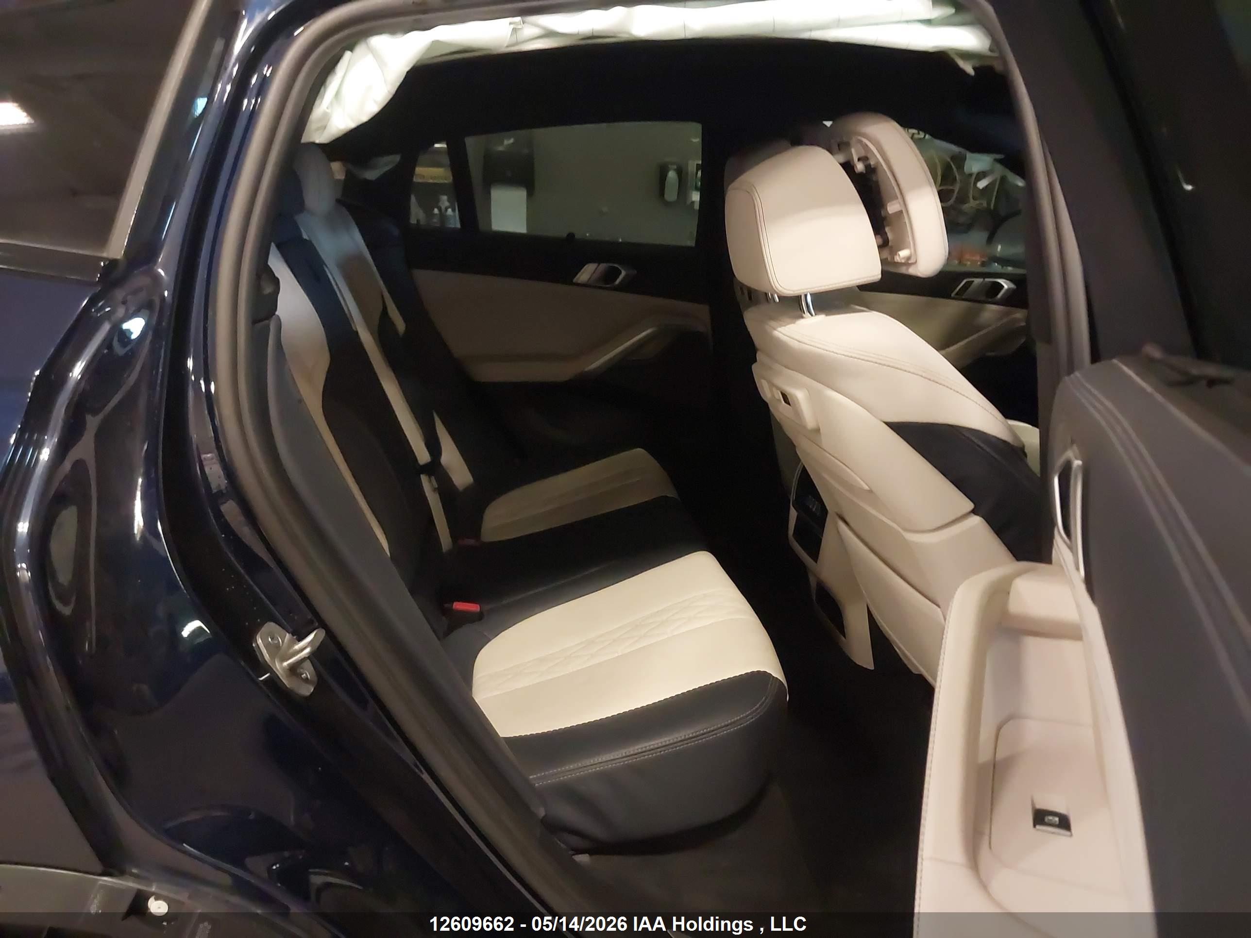 BMW X6 image 8
