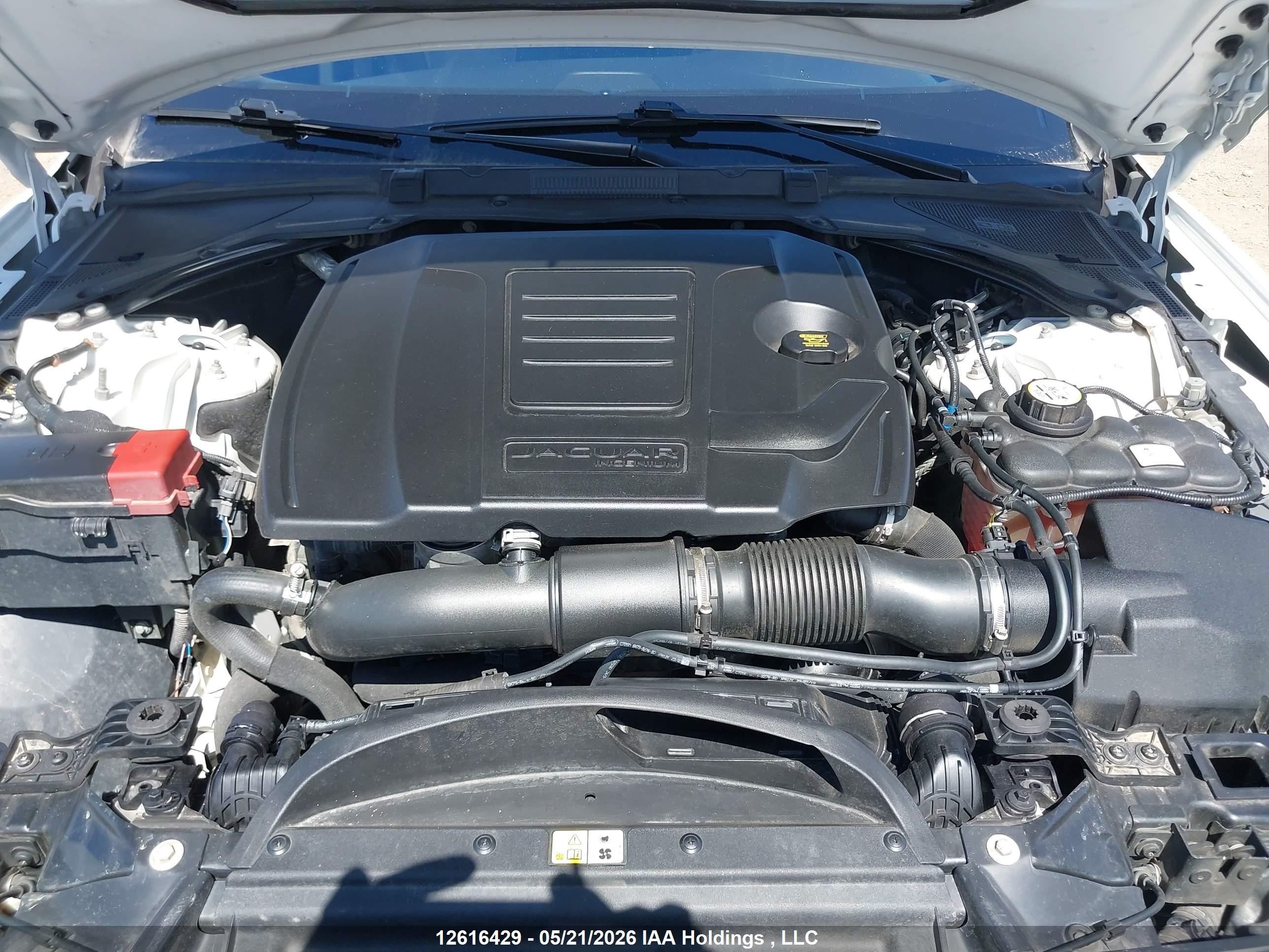 JAGUAR XF image 10