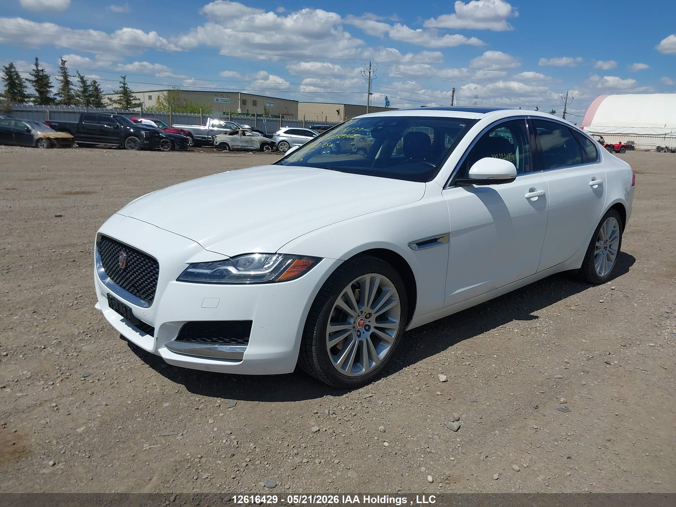JAGUAR XF image 2