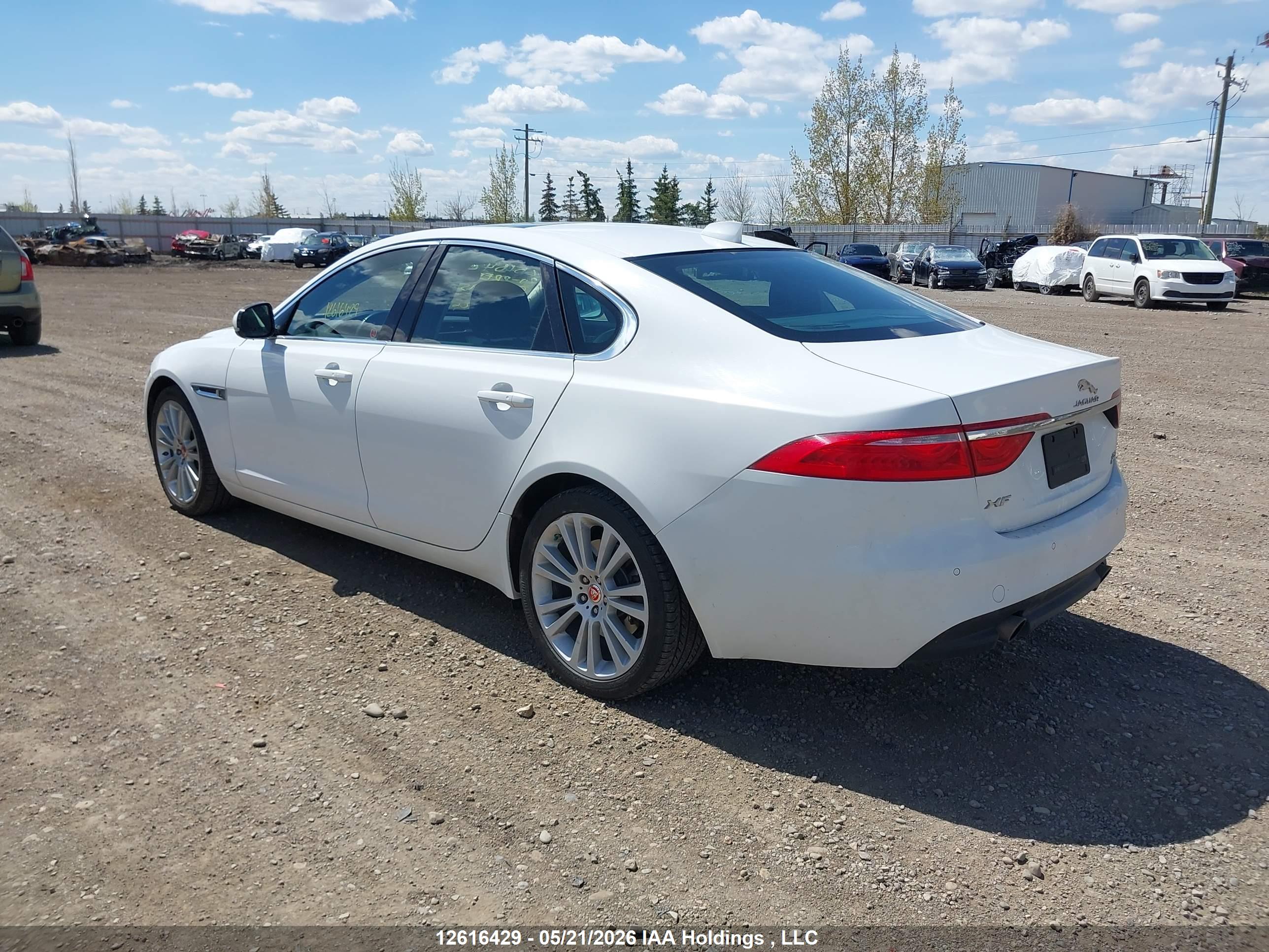 JAGUAR XF image 3