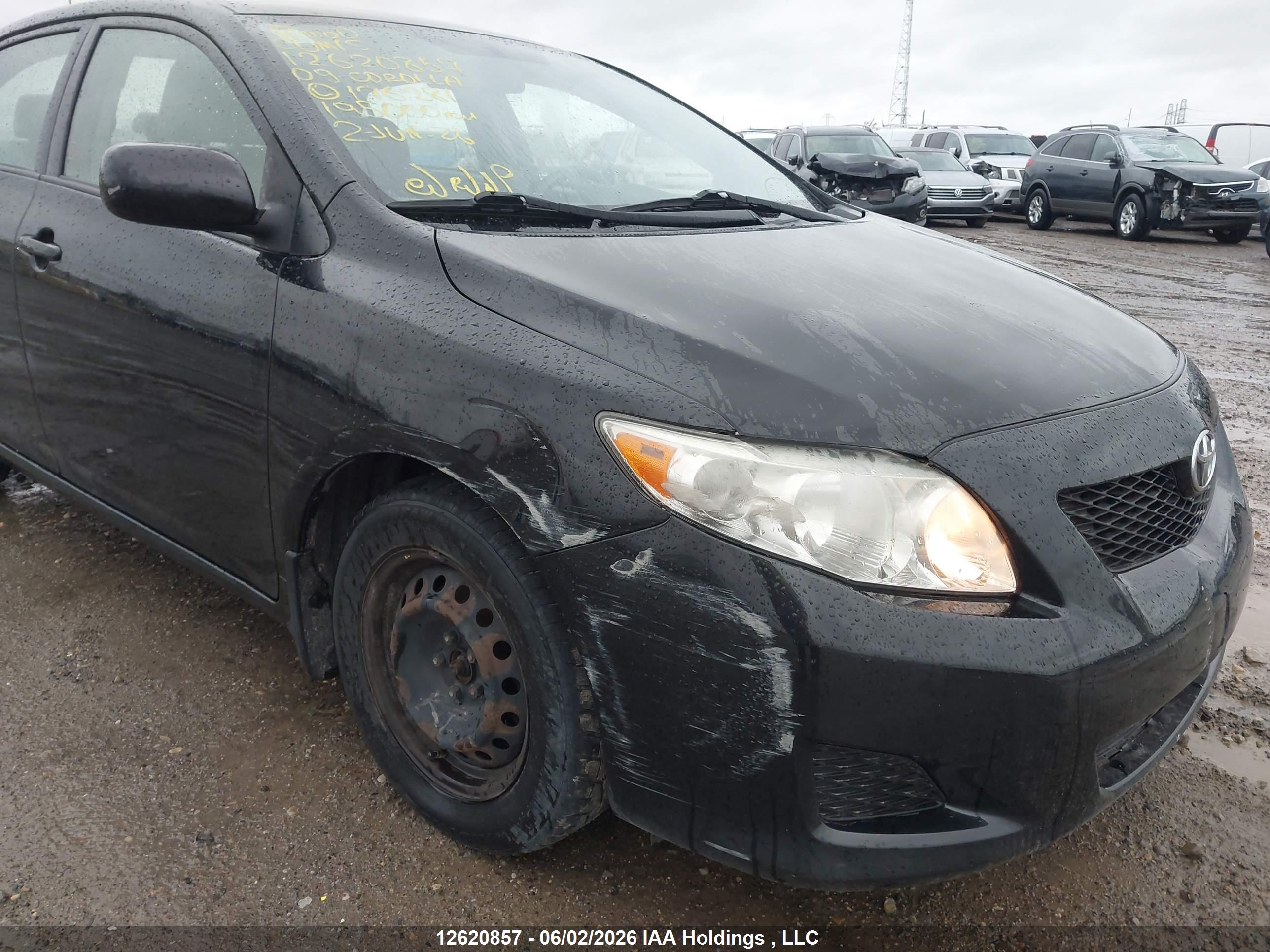 TOYOTA COROLLA image 6