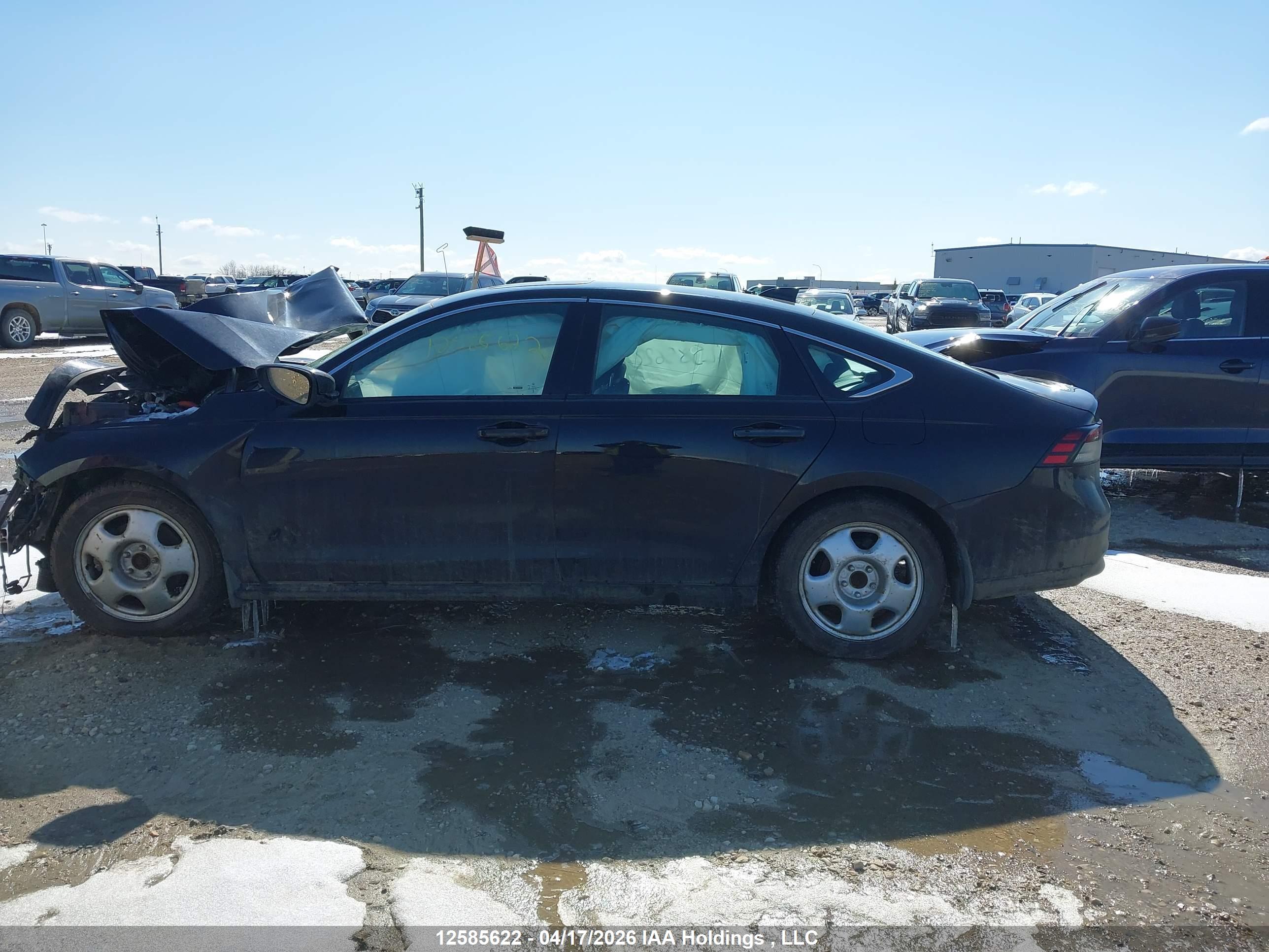 HONDA ACCORD image 11
